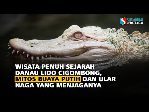 Wisata Penuh Sejarah Danau Lido Cigombong, Mitos Buaya Putih dan Ular Naga yang Menjaganya