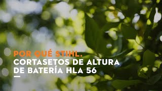 STIHL Cortasetos de altura de batería STIHL HLA 56 anuncio