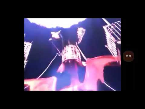 Toon Age Dawn Of The Animals(1)