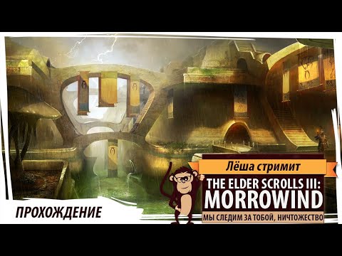 The Elder Scrolls III: Morrowind в котором нас все считают ничтожеством и пытаются посадить на скуму