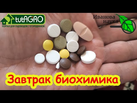 A CHEAP PILL, BUT IT'S SO ENERGIZING! My own recipe for energy and a good mood! My Big Pharma