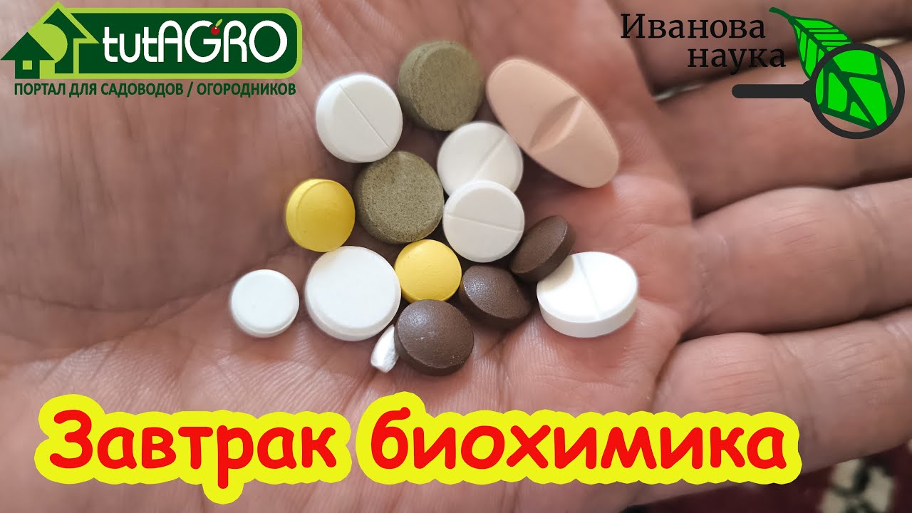 ДЕШЕВАЯ ТАБЛЕТКА, А КАК БОДРИТ! Мой собственный рецепт бодрости и хорошего н?