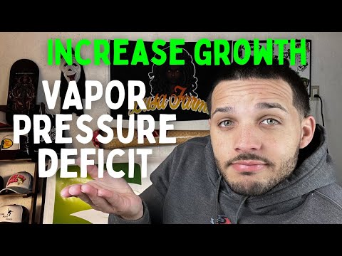 This Will Help Your Plants GROW - Vapor Pressure Deficit for a Beginner (VPD)