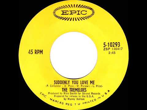 1968 HITS ARCHIVE: Suddenly You Love Me - Tremeloes (mono 45)