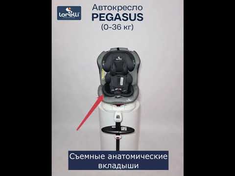 Автокрісло Lorelli PEGASUS ISOFIX (0-36кг) (red/black)