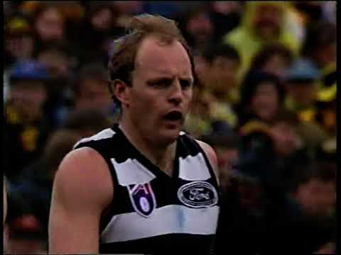 1995 Preliminary Final Richmond v Geelong, Waverley Park.