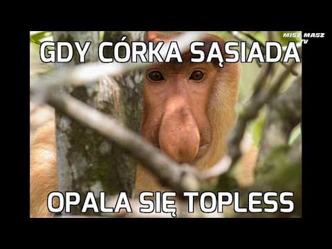 Janusz i Grażyna