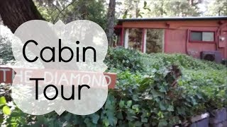 Cabin Tour | 3 Night Cabin Getaway | Forest Houses Resort