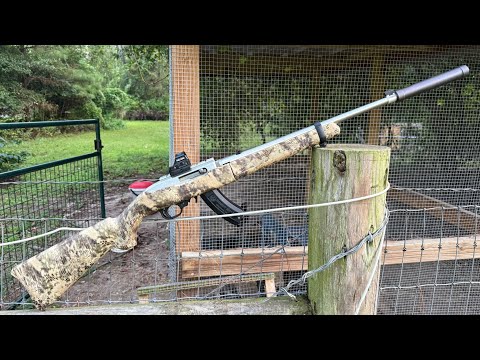The Ruger 10/22 Carbine