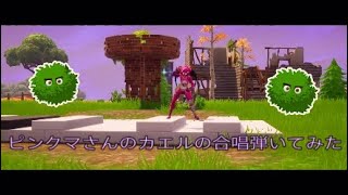 [FORTNITE]ピンクマさんのカエルの合唱弾いてみた