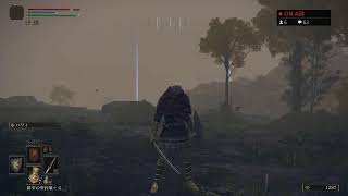 #テスト【ELDENRING 】まったり九州弁のエルデン民の旅【女性実況】【PS4】