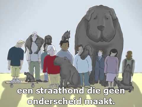 Leven met de Zwarte Hond die Depressie heet