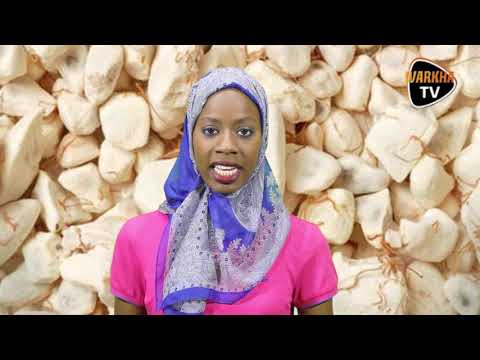 download lagu mp3 mp4 Pain De Singe, download lagu Pain De Singe gratis, unduh video klip Pain De Singe