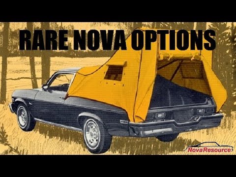 NovaResource VLOG: Rare vs Valuable Nova Options