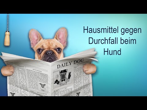 Schmerzen im Nacken mit einem Knirschen Wie viele Krankheitstage mit Knöchelverletzung