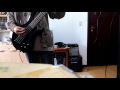 Regurgitate - Complete Rectal Prolapse bass cover