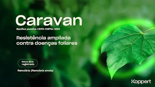 Caravan (Bacillus pumilus CEPA CNPSo 3203) | Resistência ampliada contra doenças