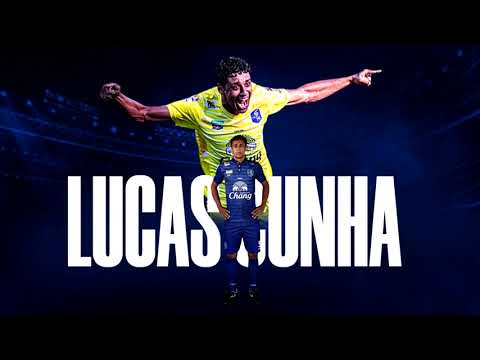Zeca Highlights
