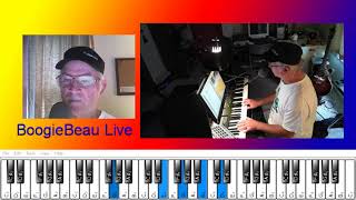 How to play Ain&#39;t No Sunshine When Shes Gone on electronic keyboard