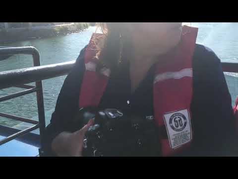 Por los rios de Valdivia, parte 2