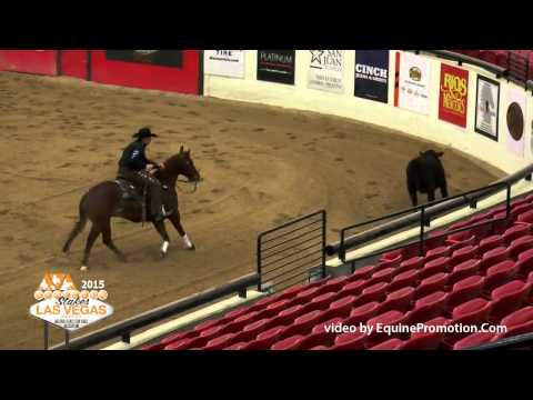 CD Dee Vee Dee ridden by Jay McLaughlin - 2015 NRCHA Stallion Stakes