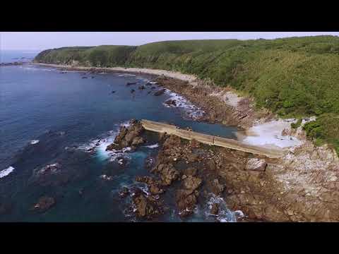 Special Tanegashima