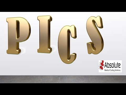 One E/M Code Per Doctor Per Day Except PICS