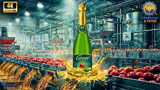You Never Imagined How CERESER CIDER is Made | Factories and Facts