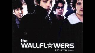 The wallflowers We are already there