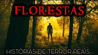 7 Histórias de Terror Reais em Florestas | Histórias Reais