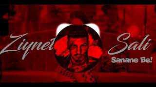 Ziynet Sali - Sanane Be ! (DEEJAY YASIN SEVEN - Mashup) 2020