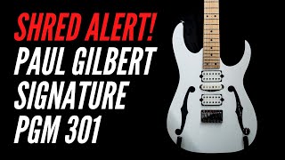 Video thumbnail for My Ibanez PGM 301 and WHY I LOVE this guitar! by Anthony George