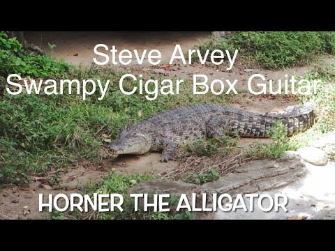 Swampy Cigar Box Guitar Sound As Steve Arvey Sings About Horner The Alligator