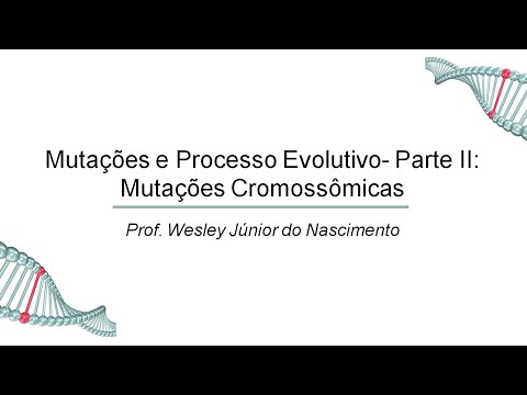 Aula 26 -Mutações Processo Evolutivo II: As mutações cromossômicas
