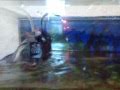 Фильтр воды "AQUAEL" для аквариума .. Причина затопления. 