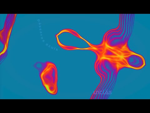 Pássaros Azuis - Uniclãs