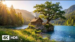Healing Music for the Soul 🌿 Reduce Stress, Calm Overthinking and Relax Your Mind, Sleep Music #10
