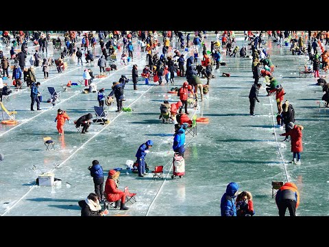 Amazing Giant Fish Fishing Skills in the ice river - Amazing Fastest Fish Catching Net Under Ice