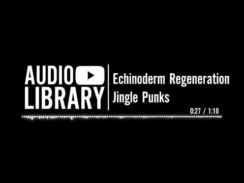 Echinoderm Regeneration - Jingle Punks