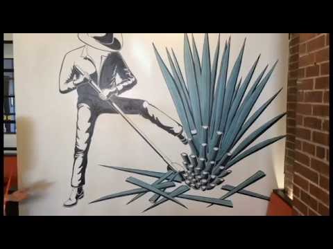Jonathan Applegate time-lapse painting of Agave...