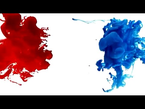 Fly My Voice - Warsaw Village Band e Mercedes Peon