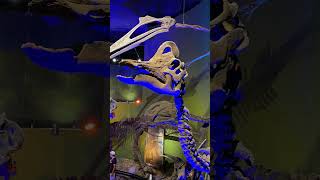 #jurassicpark #メキシコ #ヌエボレオン#砂漠博物館