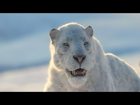 ICE AGE: WHEN GIANT ANIMALS RULED THE EARTH | DOCUMENTARY