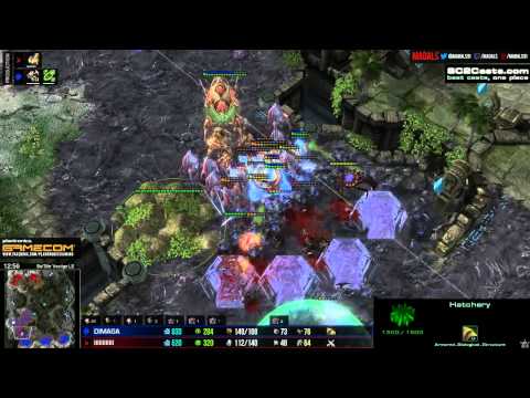 Dimaga vs Barcome   ZvP