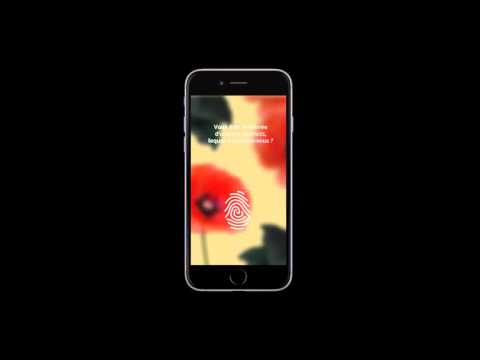 Projet d'application Sisley - Inoui sisley