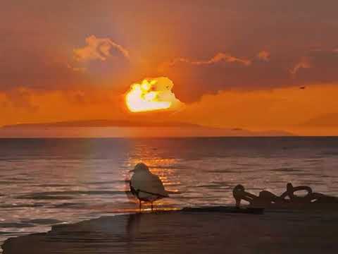 Malo Mira ~Ana Štefok