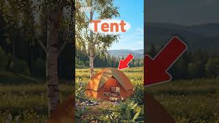 Do you know words beginning with T? 🐯⛺🪀