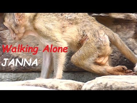 Million Pity Poorest Janna | Jane Mother Leave Walking Alone by BROKEN LEG | Monkey Crying