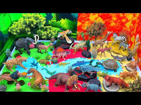 Fairy's Playhouse  and DinoMio Kids