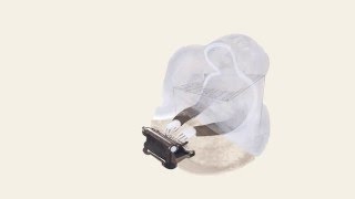 I will you, you know - Stefaan Tubex (Album &#39;Songs for the bookshelf&#39;)